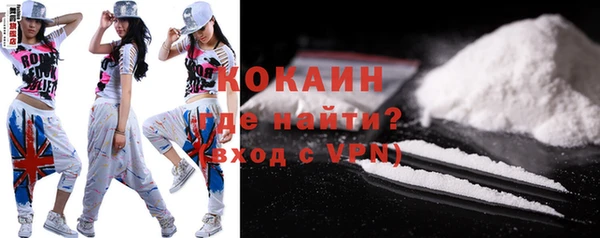 гашик Майский