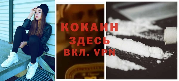 гашик Мегион
