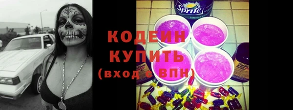 гашик Мегион