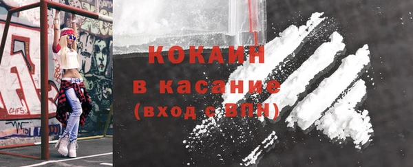 гашик Майский