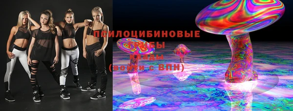 гашик Майский
