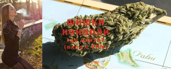 гашик Мегион