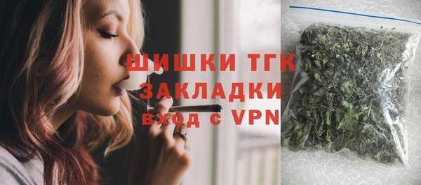 гашик Майский