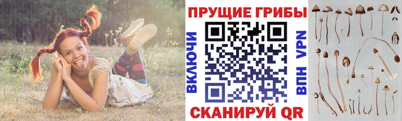 купить   Тихорецк  Псилоцибиновые грибы мухоморы 