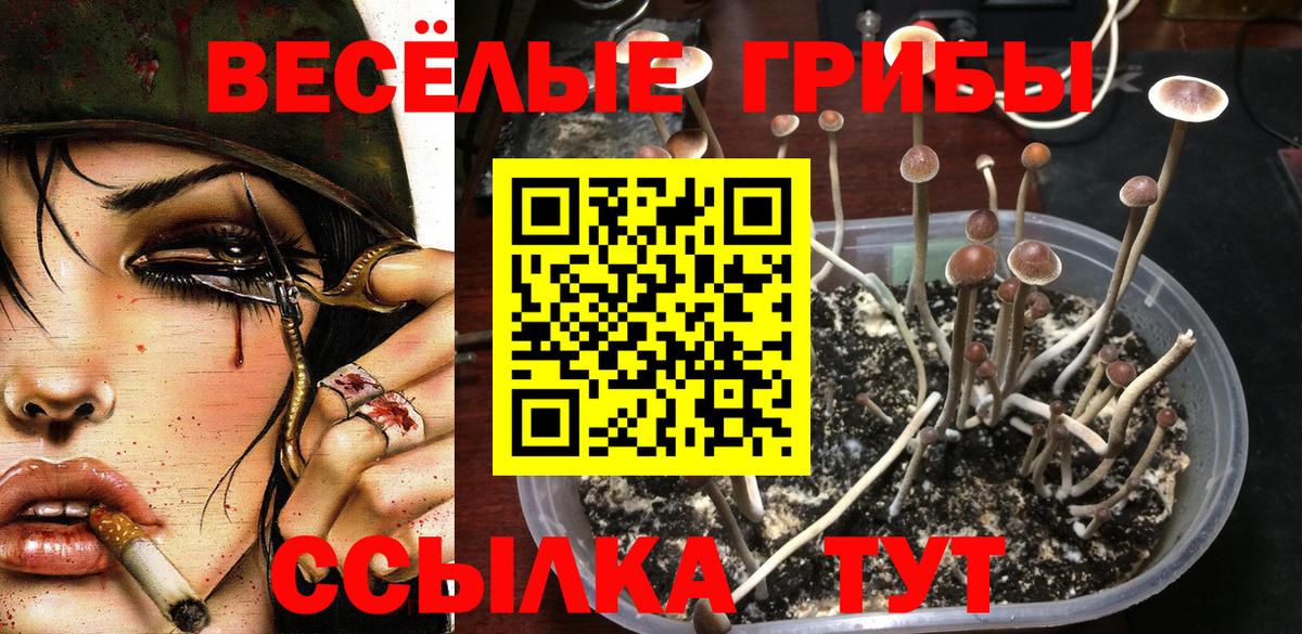 LSD-25  МЕТАМФЕТАМИН  МАРИХУАНА  КОКАИН  ГАШИШ  Тихорецк  Вход с VPN  Купить наркоту  Гашиш  Меф МЯУ МЯУ   A-PVP СОЛЬ  