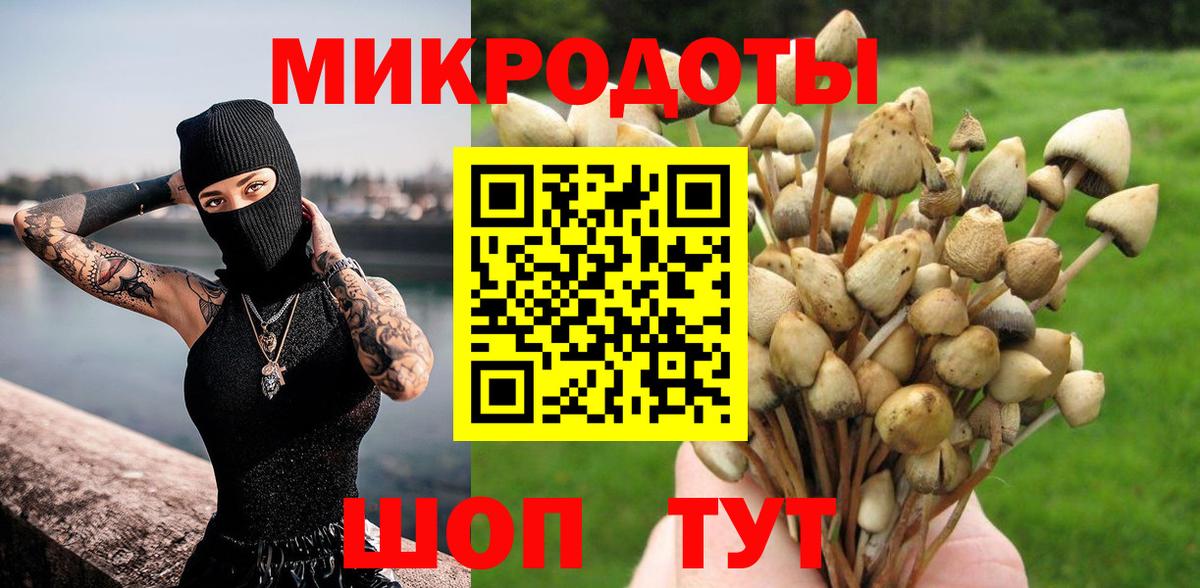 Галлюциногенные грибы MAGIC MUSHROOMS Тихорецк