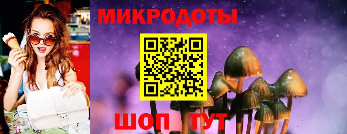 Галлюциногенные грибы Cubensis  Вход с VPN  Тихорецк 